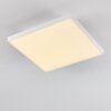 Bankura Lampa Sufitowa LED Biały, 1-punktowy