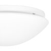 Steinhauer Lotti Lampa Sufitowa LED Biały, 1-punktowy