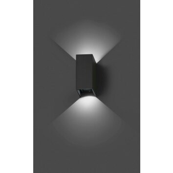 Faro Blind Zewnętrzny kinkiet LED Antracytowy, 2-punktowe