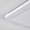 Siguna Lampa Sufitowa LED Biały, 1-punktowy