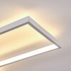 Hagenberg Lampa Sufitowa LED Biały, 1-punktowy