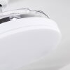 Bendigo wentylator sufitowy LED Chrom, Przezroczysty, Biały, 1-punktowy