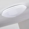Brighton Lampa Sufitowa LED Biały, 1-punktowy, Zdalne sterowanie, Zmieniacz kolorów