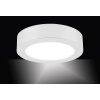 Leuchten-Direkt OSKAR Lampa sufitowa LED Biały, 1-punktowy
