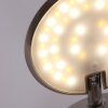 Steinhauer Zenith Lampa ścienna LED Stal nierdzewna, 1-punktowy