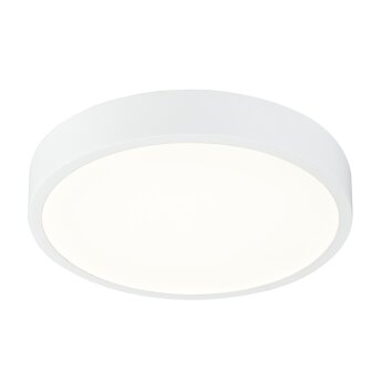 Globo KRULL Lampa Sufitowa LED Biały, 1-punktowy