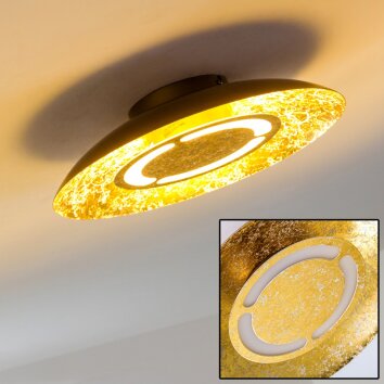 KINOSIS lampa sufitowa LED Złoty, 1-punktowy