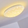 Brighton Star Lampa Sufitowa LED Biały, 1-punktowy, Zdalne sterowanie, Zmieniacz kolorów