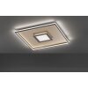 Lampa Sufitowa Fischer & Honsel Bug LED Złoty, Rdzawy, 1-punktowy, Zdalne sterowanie