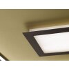 Lampa Sufitowa Fischer & Honsel Bug LED Złoty, Rdzawy, 1-punktowy, Zdalne sterowanie