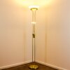 Biot lampa stojąca oświetlająca sufit LED Mosiądz, 2-punktowe