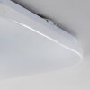 NUTAK lampa sufitowa LED Biały, 1-punktowy, Zdalne sterowanie, Zmieniacz kolorów