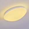 Brighton Lampa Sufitowa LED Biały, 1-punktowy, Zdalne sterowanie, Zmieniacz kolorów