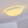 Brighton Lampa Sufitowa LED Biały, 1-punktowy, Zdalne sterowanie, Zmieniacz kolorów