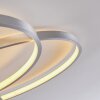 Skanes Lampa Sufitowa LED Nikiel matowy, 1-punktowy