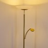 Argostoli Lampa Stojąca LED Mosiądz, 2-punktowe