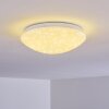 Brighton Star Lampa Sufitowa LED Biały, 1-punktowy, Zdalne sterowanie, Zmieniacz kolorów