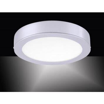 Leuchten-Direkt OSKAR Lampa sufitowa LED Srebrny, 1-punktowy