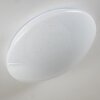 FOXES lampa sufitowa LED Biały, 1-punktowy, Zdalne sterowanie, Zmieniacz kolorów