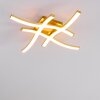 Grossarl Lampa Sufitowa LED Złoty, 4-punktowe