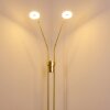 Gulkana Lampa Stojąca LED Złoty, 2-punktowe