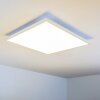 Lerum Lampa Sufitowa LED Biały, 1-punktowy