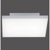 Paul Neuhaus FRAMELESS Lampa Sufitowa LED Biały, 1-punktowy, Zdalne sterowanie Paul Neuhaus FRAMELESS Lampa Sufitowa LED Biały, 1-punktowy, Zdalne sterowanie