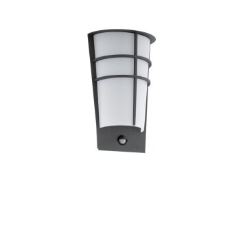 Eglo BREGANZO 1 Lampa ścienna LED Antracytowy, 2-punktowe, Czujnik ruchu