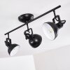 Tina Lampa Sufitowa Czarny, 3-punktowe