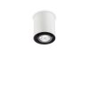 Ideal Lux MOOD Lampa Sufitowa Biały, 1-punktowy
