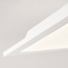 Antria Lampa Sufitowa LED Biały, 1-punktowy