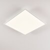 Antria Lampa Sufitowa LED Biały, 1-punktowy