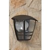 Philips MyGarden CREEK lampa ścienna Czarny, Przezroczysty, 1-punktowy