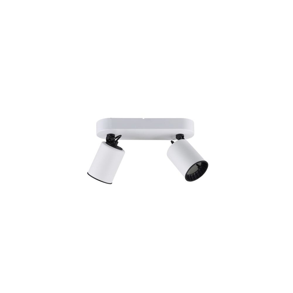 Lampa sufitowa Trio Leuchten PAGO Biały, 2-punktowe main product photo