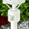Lentua Zewnętrzna Lampa Stojąca Biały, 1-punktowy, Czujnik ruchu