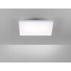 Lampa Sufitowa Paul Neuhaus FRAMELESS LED Biały, 1-punktowy, Zdalne sterowanie