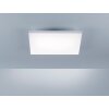 Lampa Sufitowa Paul Neuhaus FRAMELESS LED Biały, 1-punktowy, Zdalne sterowanie