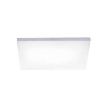 Lampa Sufitowa Paul Neuhaus FRAMELESS LED Biały, 1-punktowy, Zdalne sterowanie