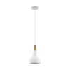 Eglo SABINAR Lampa Wisząca biały, 1-punktowy