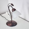 Peccia Lampa stołowa Rdzawy, 1-punktowy