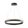 Lampa Wisząca Paul Neuhaus Q-VITO LED Antracytowy, 1-punktowy, Zdalne sterowanie