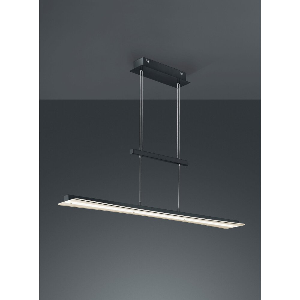 Reality Smash Lampa Wisząca LED Czarny, 1-punktowy main product photo