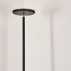 Wonsbek Lampa Stojąca LED Czarny, 1-punktowy