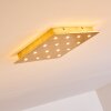 Pionnat Lampa Sufitowa LED Złoty, 16-punktowe