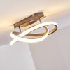 Cochato Lampa Sufitowa LED Nikiel matowy, 1-punktowy