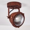 Lampa Sufitowa Glostrup LED Rdzawy, 1-punktowy