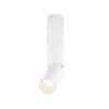 Globo LUWIN Lampa Sufitowa LED Biały, 1-punktowy