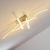 Kosola Lampa Sufitowa LED Nikiel matowy, 4-punktowe