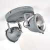 Glostrup Lampa Sufitowa LED Szary, 2-punktowe