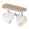 Steinhauer Gearwood Lampa Sufitowa LED Biały, 2-punktowe